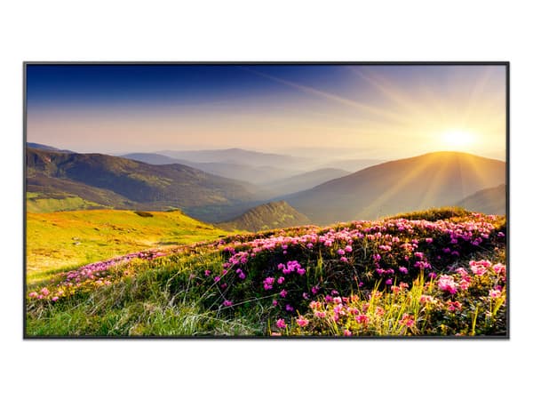 Monitor de Señalización Samsung Crystal UHD QMC de 50", Resolución 3840 x 2160 (Ultra HD 4K), Bluetooth, Color Negro.