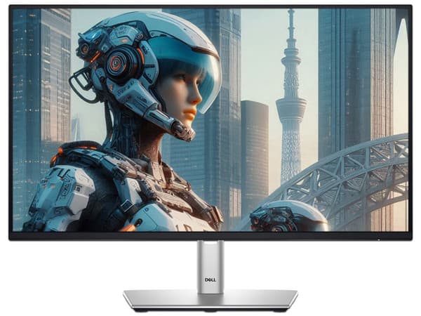 Monitor LED DELL P2425H de 23.8", Resolución 1920 x 1080 (Full HD 1080p), 5 ms, 100Hz.