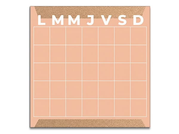 Pizarrón Con Organizador Mensual Alfra, Tamaño de 30 x 30 cm, Color Coral.