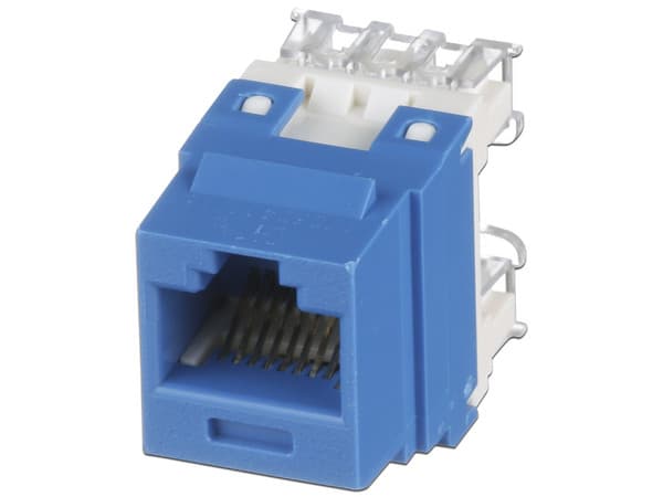 Conector Pandiut NK688MBU Cat6 RJ-45 Azul, tipo 110.
