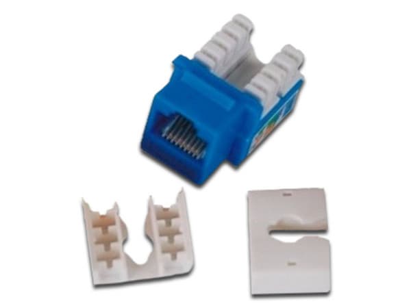 Jack Enson Cat6, UTP, Color Azul.